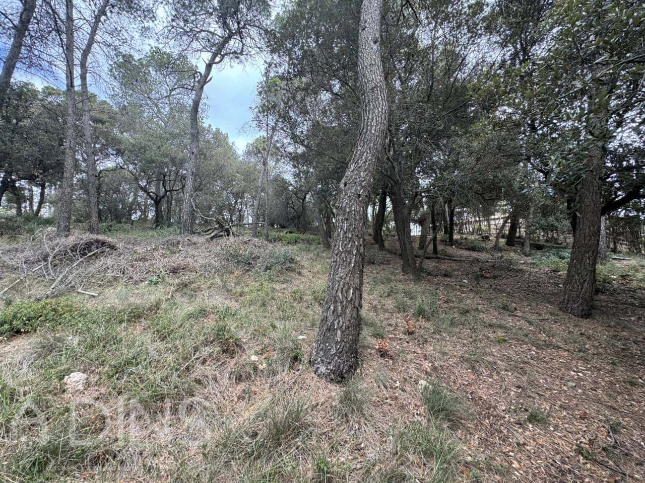 Grond te koop in Caldes de Montbui - € 60.000 (Ref: 9793065)