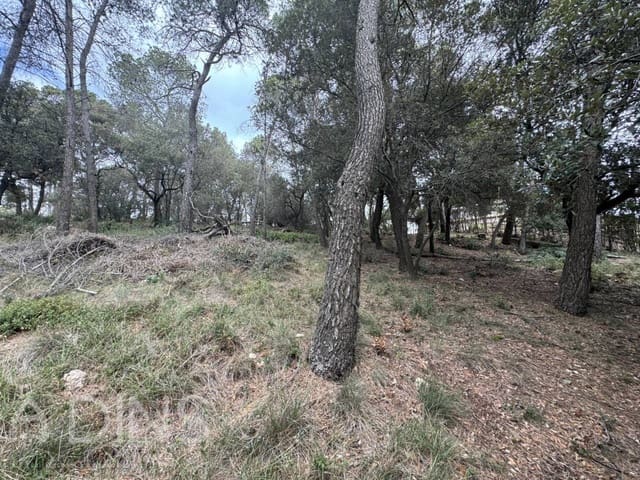 Teren niezagospodarowany na sprzedaż w Caldes de Montbui - 60 000 € (Ref: 9793065)