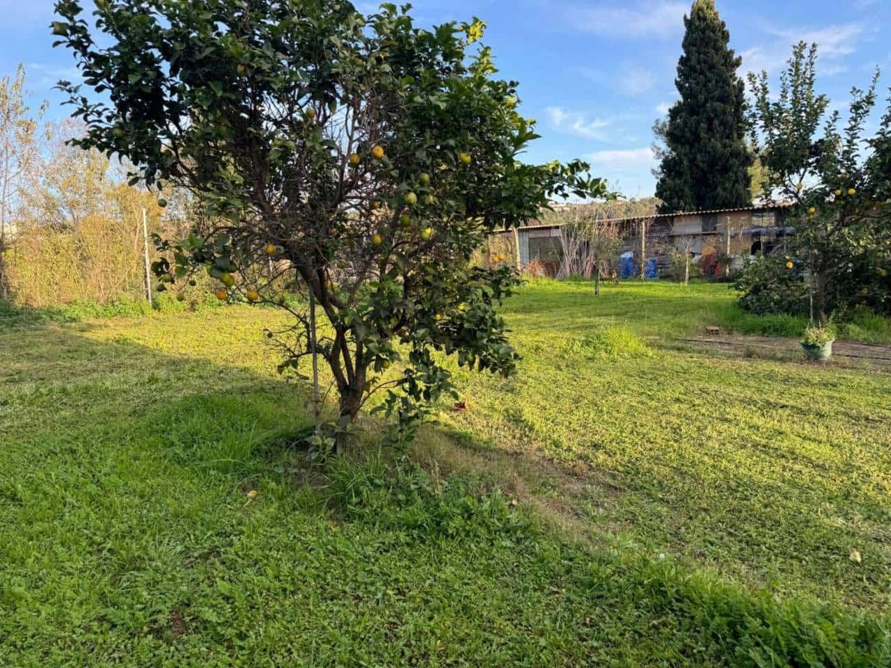 Mark till salu i Caldes de Montbui - 390 000 € (Ref: 9793070)