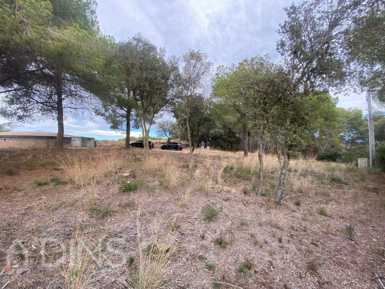 Terre non Aménagée à vendre à Caldes de Montbui - 140 000 € (Ref: 9793104)