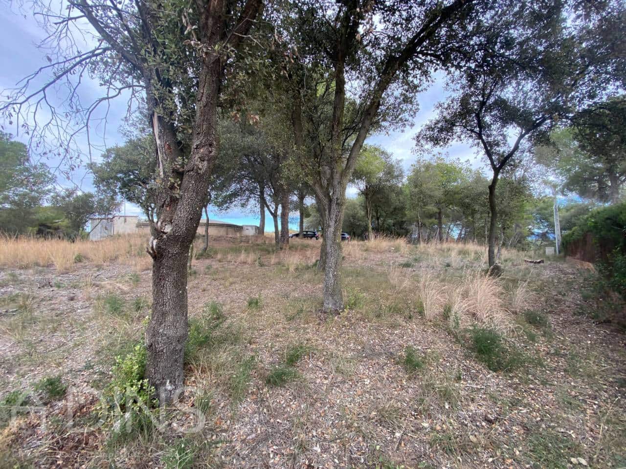 Terre non Aménagée à vendre à Caldes de Montbui - 140 000 € (Ref: 9793104)