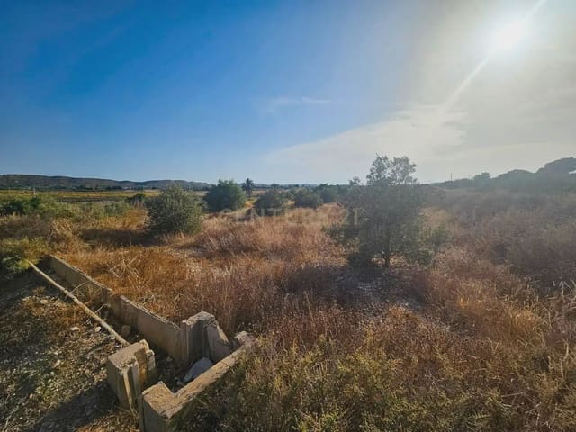 Maalaistalo myytävänä paikassa Pla de la Vallonga, Alicante kaupunki - 195 000 € (Ref: 10044138)