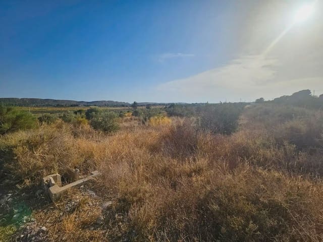 Maalaistalo myytävänä paikassa Pla de la Vallonga, Alicante kaupunki - 195 000 € (Ref: 10044138)