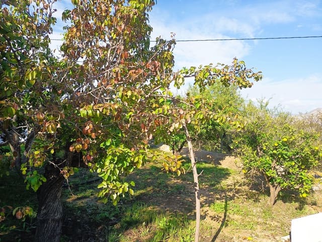 Finca/Casa di Campagna in vendita in Aspe - 305.000 € (Rif: 9592280)