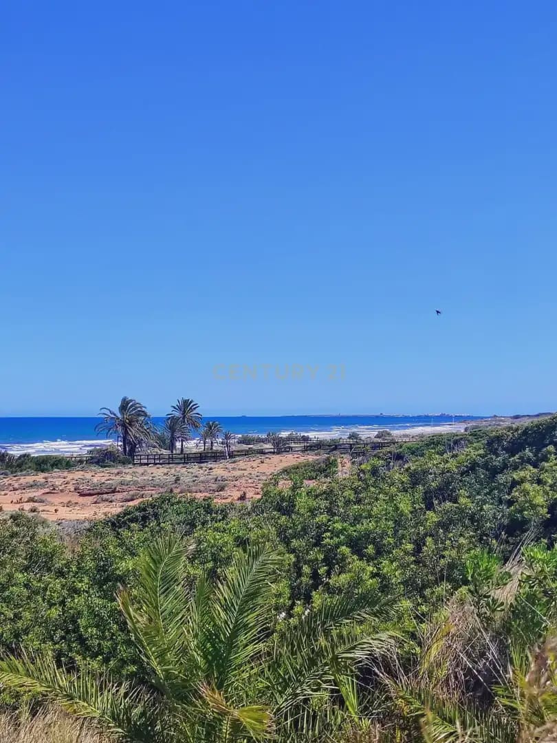 2 bedroom Bungalow for rent in Elche / Elx with pool garage - € 1,200 (Ref: 9889314)