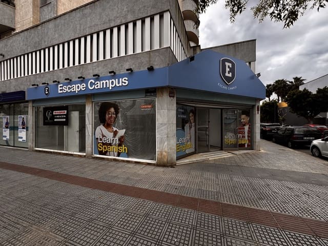 Shop for rent in Ibiza / Eivissa town - € 5,000 (Ref: 9306404)