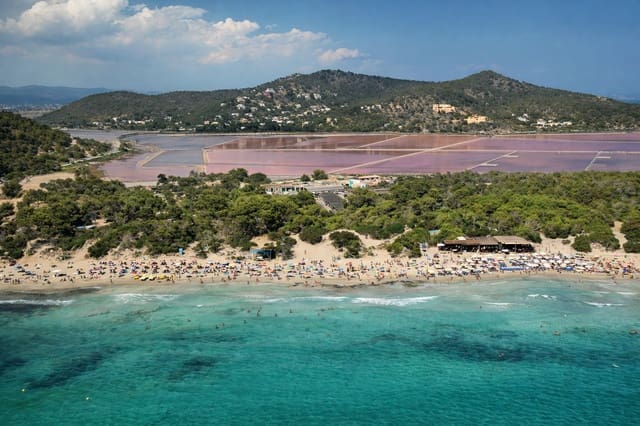 8 soveværelse Erhverv til leje i San Jose / Sant Josep de Sa Talaia med garage - € 13.333 (Ref: 9591955)