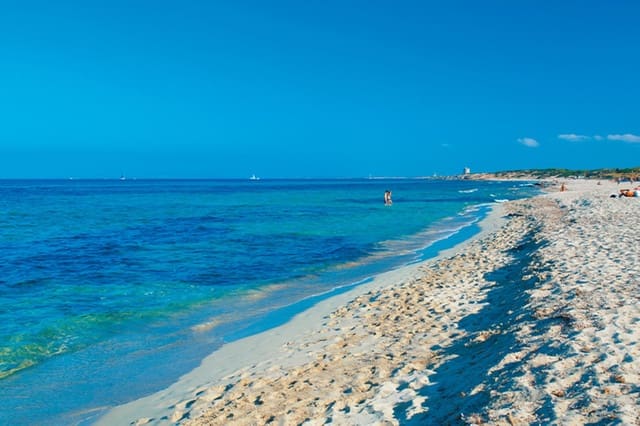 8 soveværelse Erhverv til leje i San Jose / Sant Josep de Sa Talaia med garage - € 13.333 (Ref: 9591955)