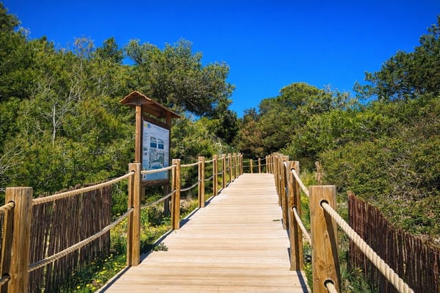 8 soveværelse Erhverv til leje i San Jose / Sant Josep de Sa Talaia med garage - € 13.333 (Ref: 9591955)