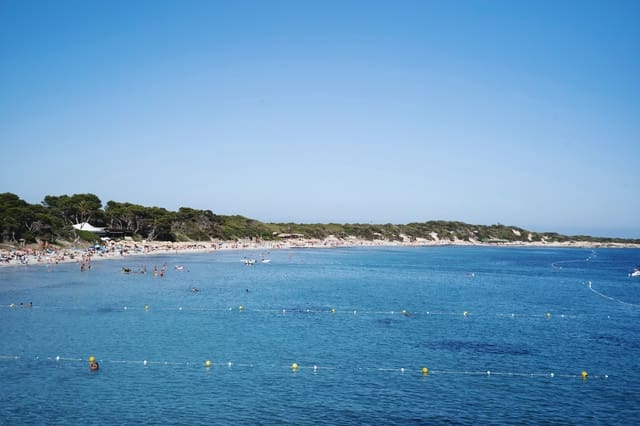 8 soveværelse Erhverv til leje i San Jose / Sant Josep de Sa Talaia med garage - € 13.333 (Ref: 9591955)