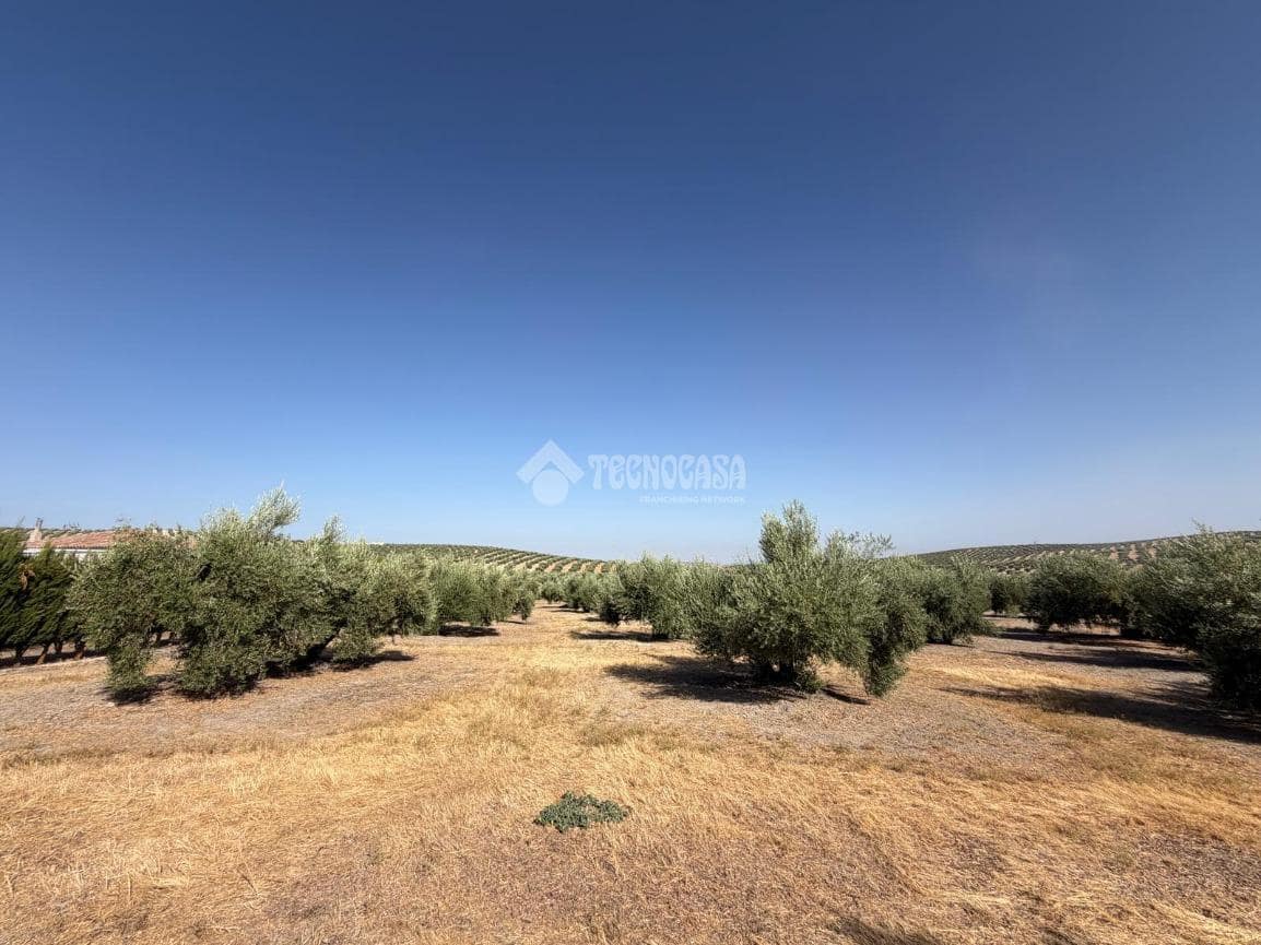 2 quarto Moradia para venda em Martos com piscina garagem - 159 900 € (Ref: 10023077)