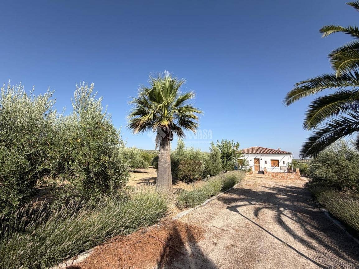 2 quarto Moradia para venda em Martos com piscina garagem - 159 900 € (Ref: 10023077)