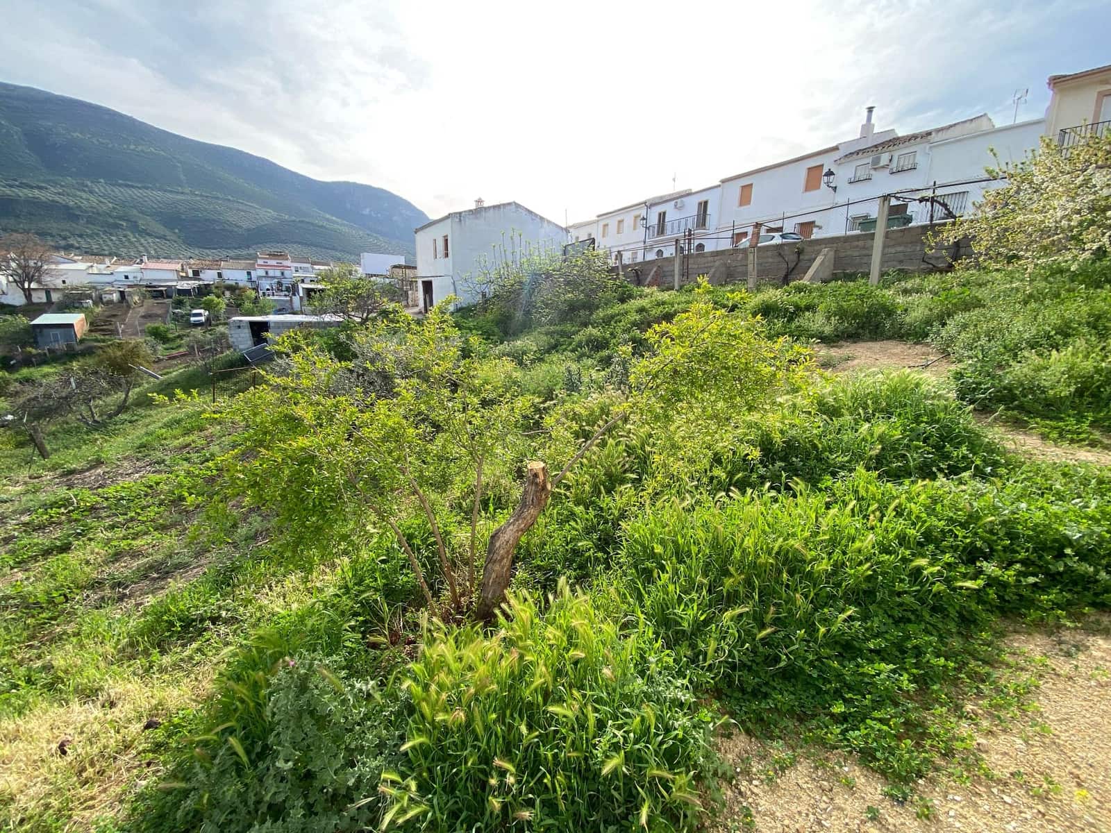 3 soveværelse Byhus til salg i Las Casillas de Martos - € 72.900 (Ref: 9018553)