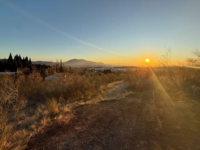 Grunde uden byggetilladelser til salg i Martos - € 20.000 (Ref: 9379404)