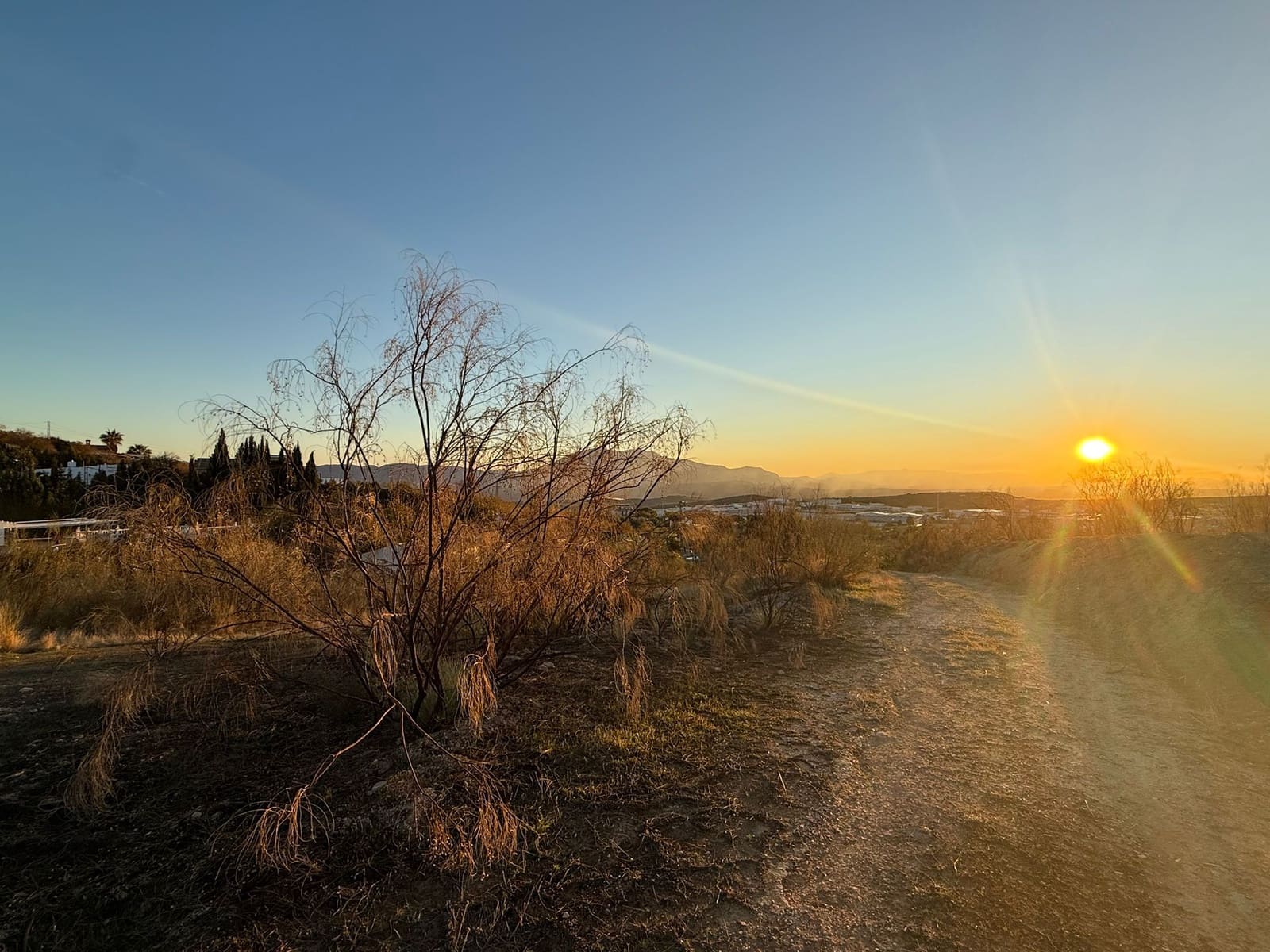 Ubebygd land til salgs i Martos - € 20 000 (Ref: 9379404)