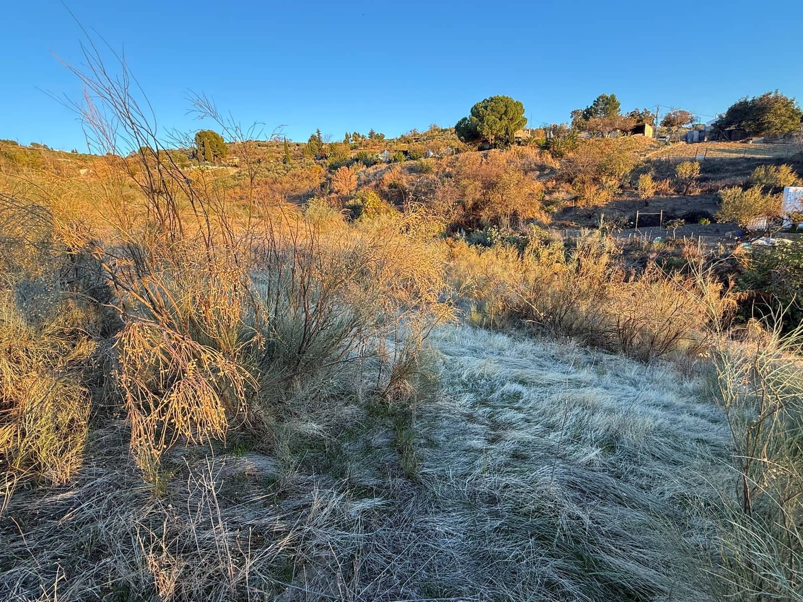 Ubebygd land til salgs i Martos - € 20 000 (Ref: 9379404)