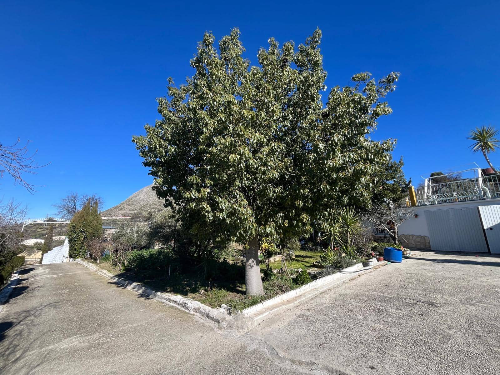 4 makuuhuone Omakotitalo myytävänä paikassa Martos mukana uima-altaan - 265 000 € (Ref: 9523538)