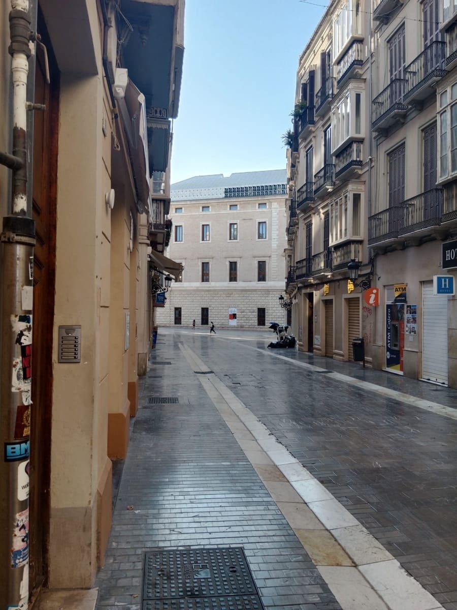 3 sypialnia Mieszkanie na sprzedaż w Miasto Malaga - 895 000 € (Ref: 9235454)