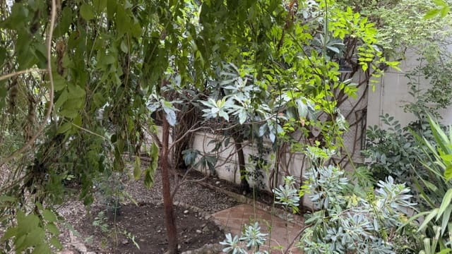 Adosado de 3 habitaciones en Figueres en venta - 350.000 € (Ref: 10031195)