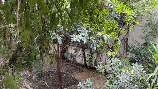 3 Zimmer Reihenhaus zu verkaufen in Figueres - 350.000 € (Ref: 10031195)