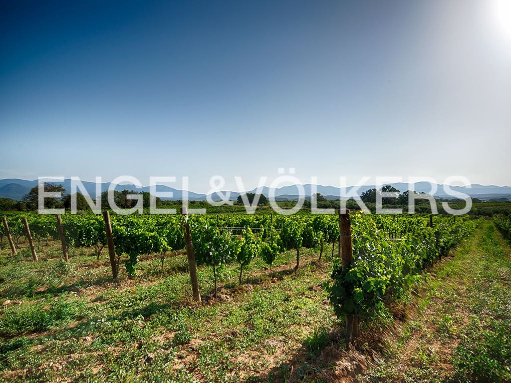 3 soveværelse Villa til salg i Masarac med swimmingpool garage - € 975.000 (Ref: 9005743)