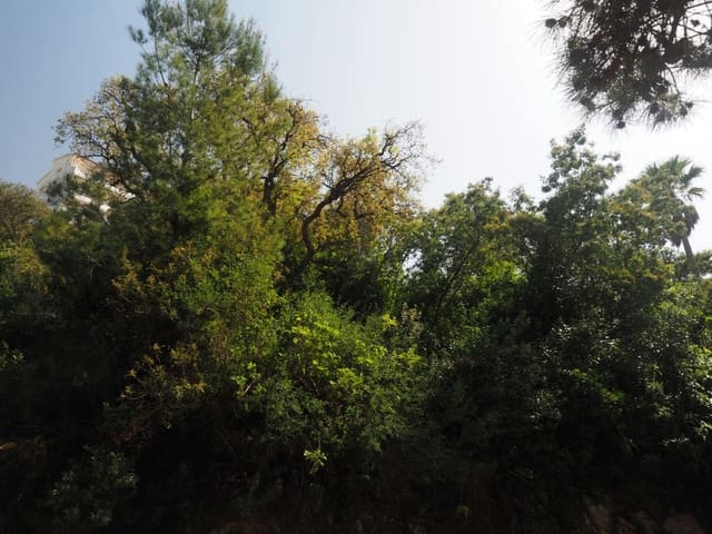 Undeveloped Land for sale in Roses - € 499,000 (Ref: 9168139)