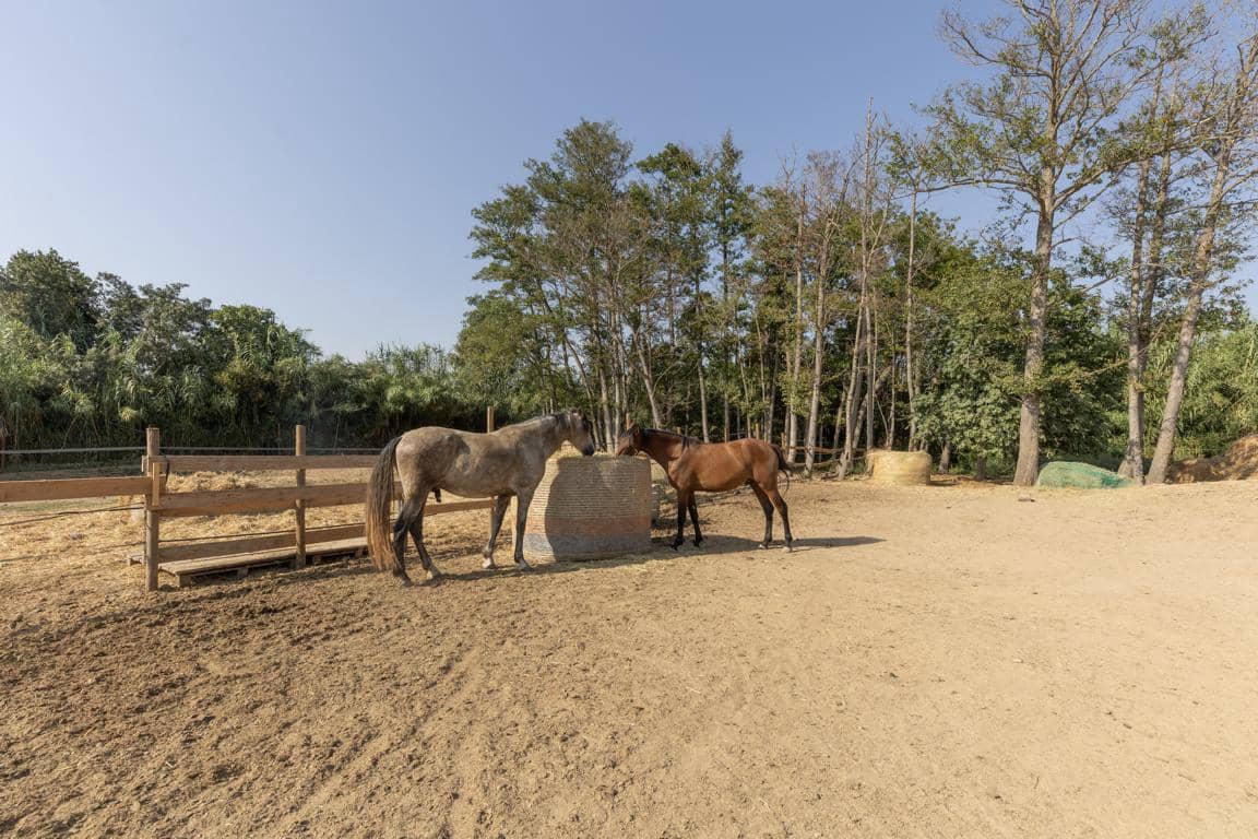 Finca/Landhuis te koop in Castello d'Empuries met garage - € 395.000 (Ref: 9175546)