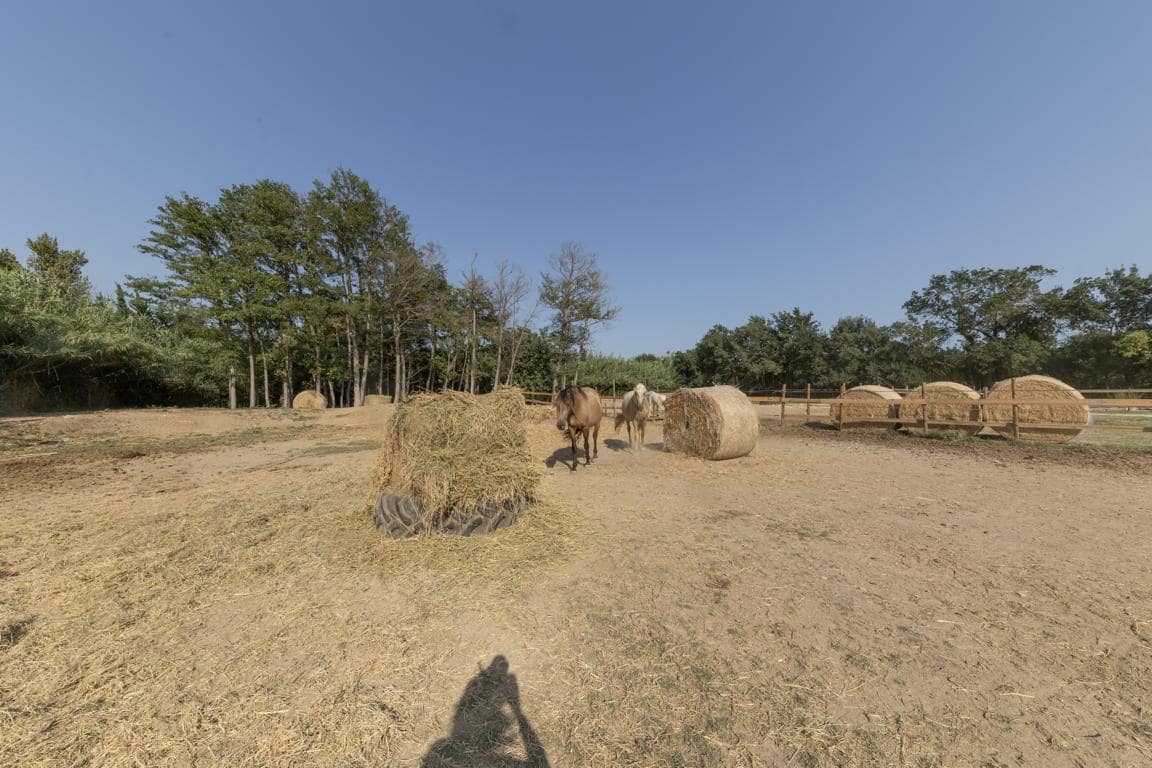 Maalaistalo myytävänä paikassa Castello d'Empuries mukana 
autotalli - 395 000 € (Ref: 9175546)
