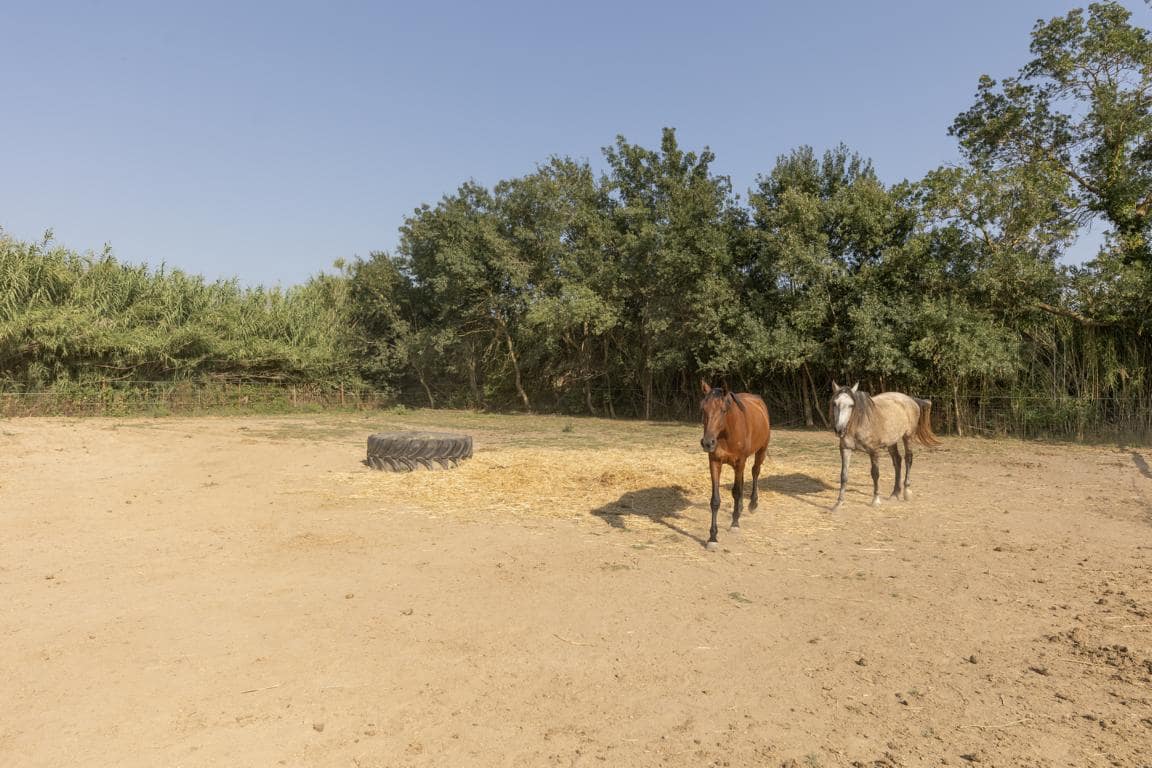 Maalaistalo myytävänä paikassa Castello d'Empuries mukana 
autotalli - 395 000 € (Ref: 9175546)