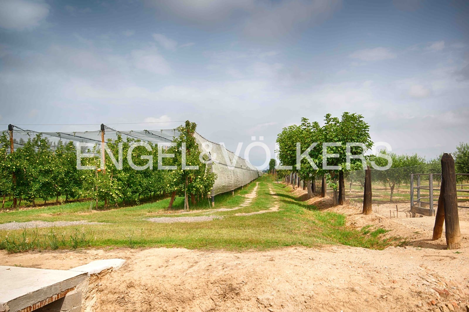 5 soveværelse Finca/Landehus til salg i Castello d'Empuries med garage - € 2.950.000 (Ref: 9195087)