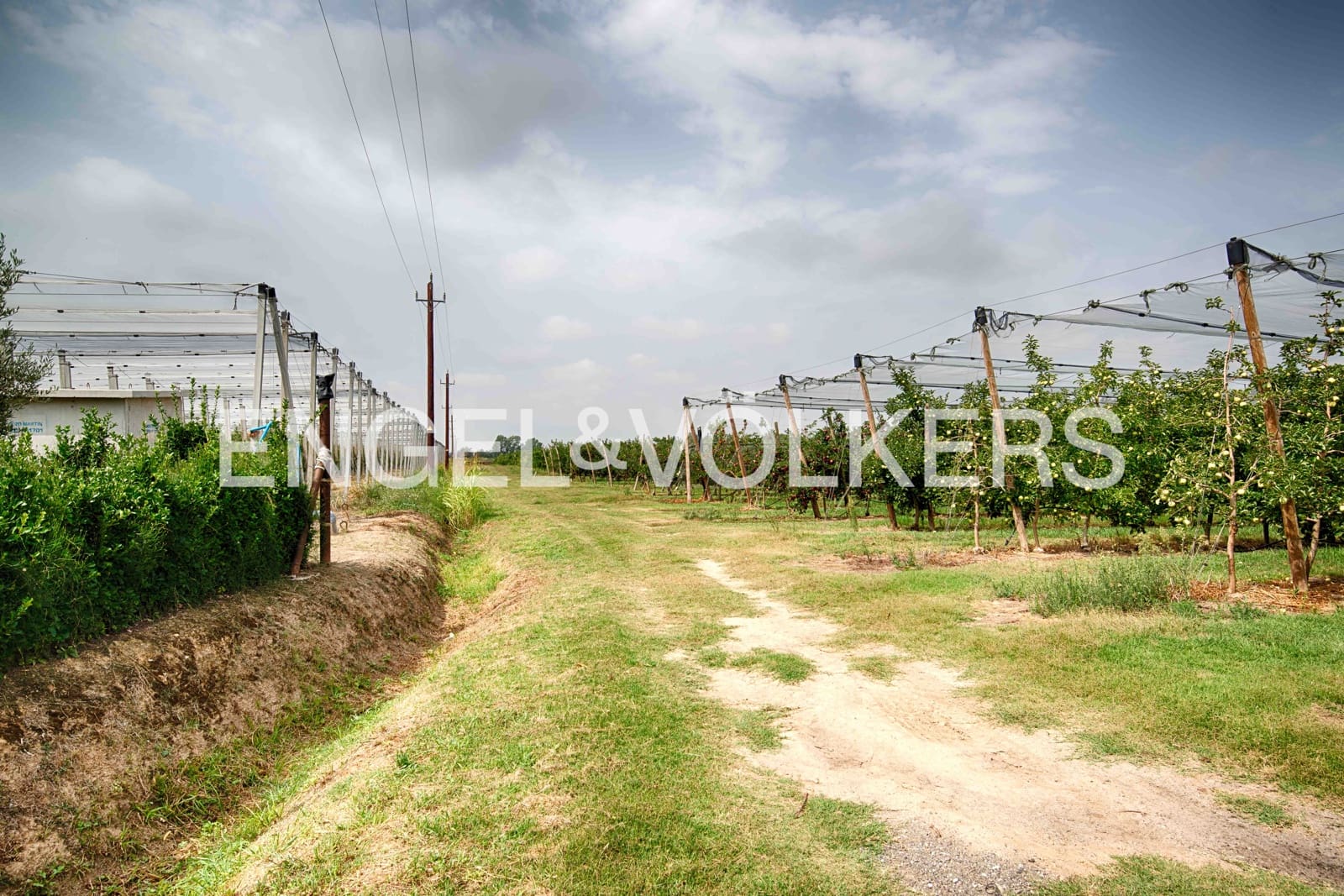 5 soveværelse Finca/Landehus til salg i Castello d'Empuries med garage - € 2.950.000 (Ref: 9195087)