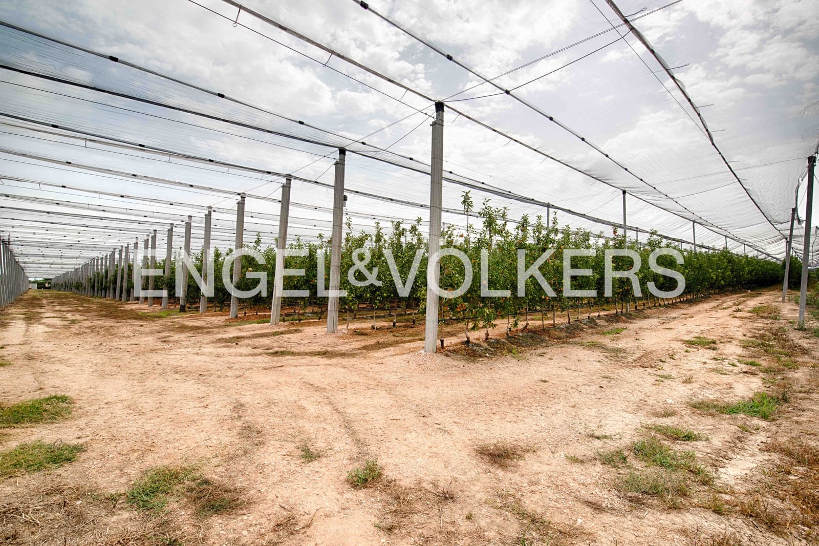 5 soveværelse Finca/Landehus til salg i Castello d'Empuries med garage - € 2.950.000 (Ref: 9195087)