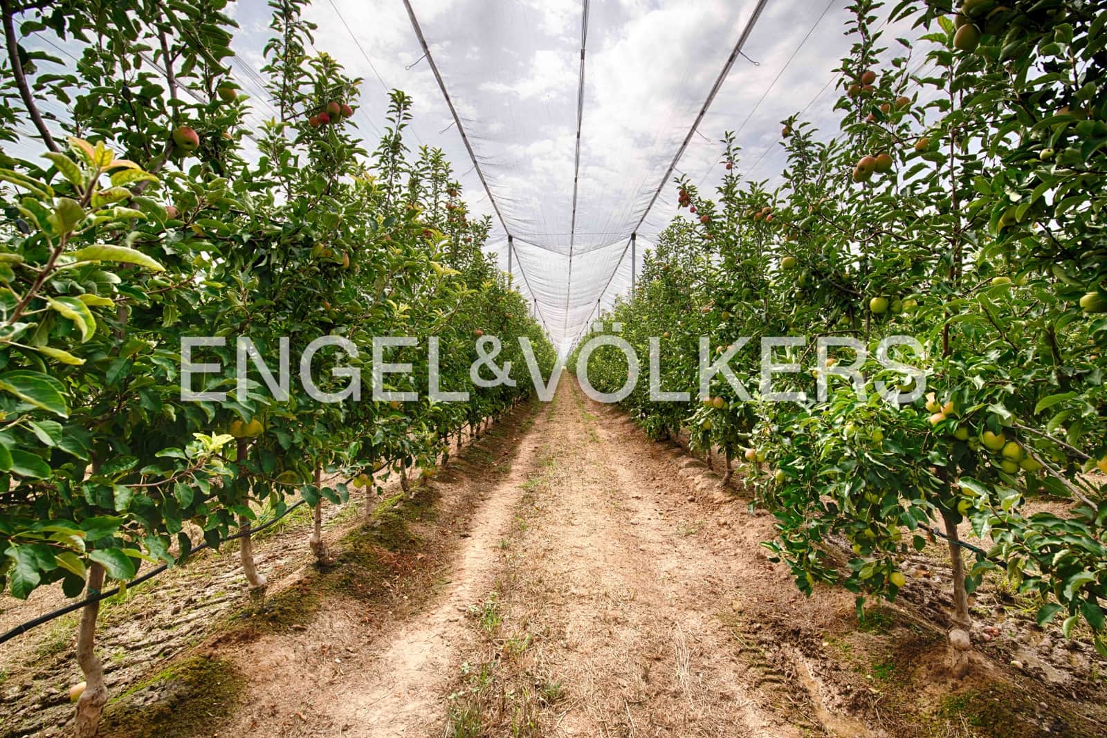 5 soveværelse Finca/Landehus til salg i Castello d'Empuries med garage - € 2.950.000 (Ref: 9195087)