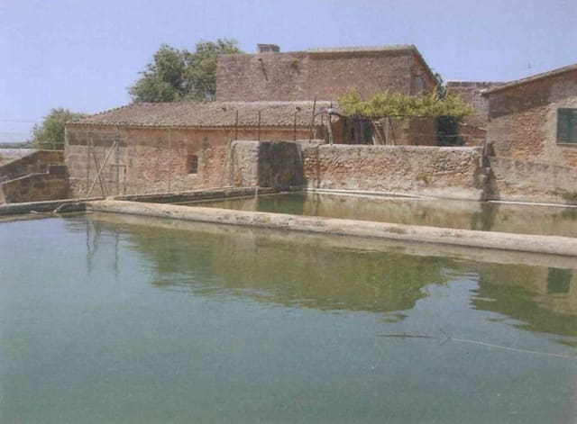 Finca/Casa Rural de 10 habitaciones en Palma de Mallorca en venta con piscina - 2.700.000 € (Ref: 9447387)