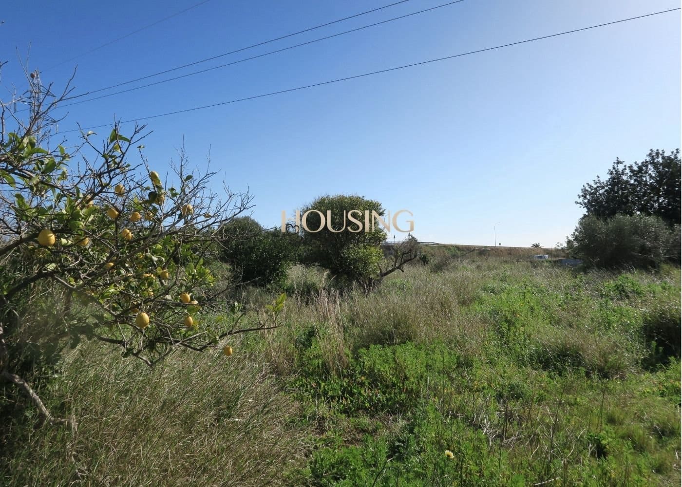 Building Plot for sale in Inca - € 525,000 (Ref: 9583191)