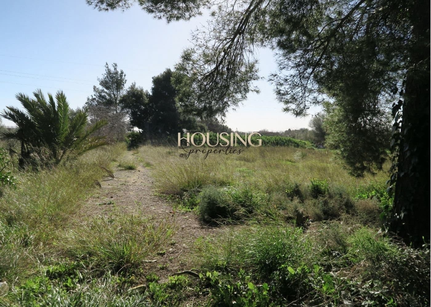 Building Plot for sale in Inca - € 525,000 (Ref: 9583191)