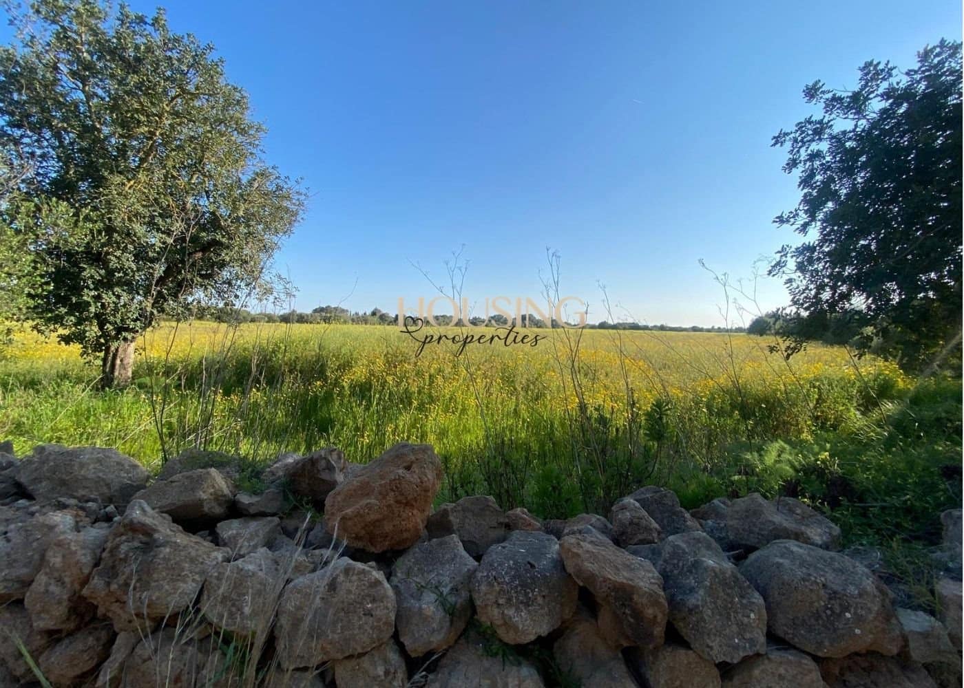 Bauplatz zu verkaufen in Llucmajor - 325.000 € (Ref: 9691474)