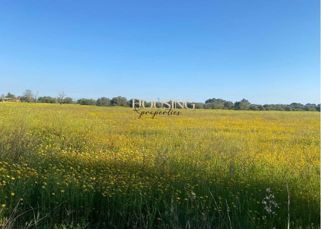 Terreno para Construção para venda em Llucmajor - 325 000 € (Ref: 9691474)