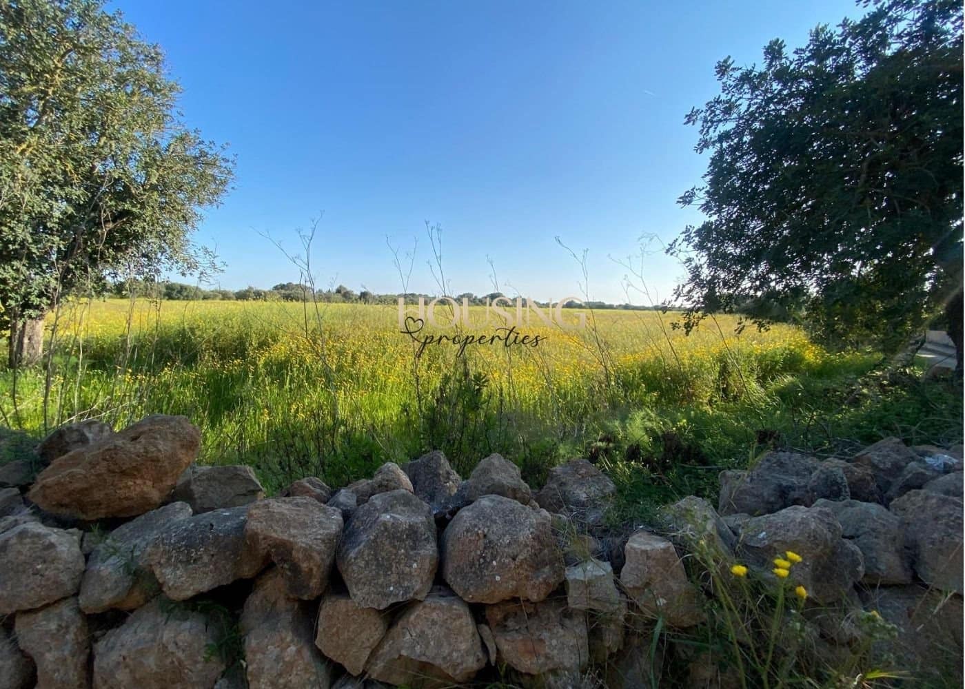 Bauplatz zu verkaufen in Llucmajor - 325.000 € (Ref: 9691474)