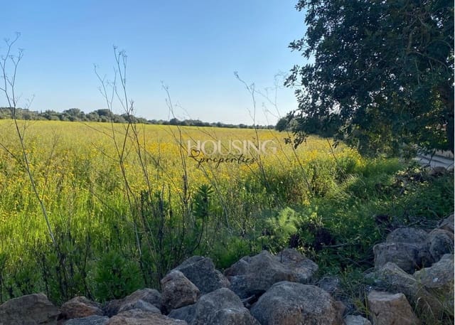 Terreno para Construção para venda em Llucmajor - 325 000 € (Ref: 9691474)