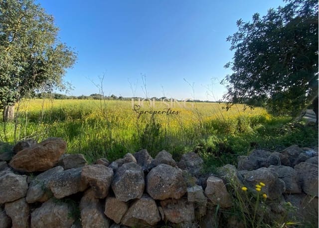 Terreno para Construção para venda em Llucmajor - 325 000 € (Ref: 9691474)