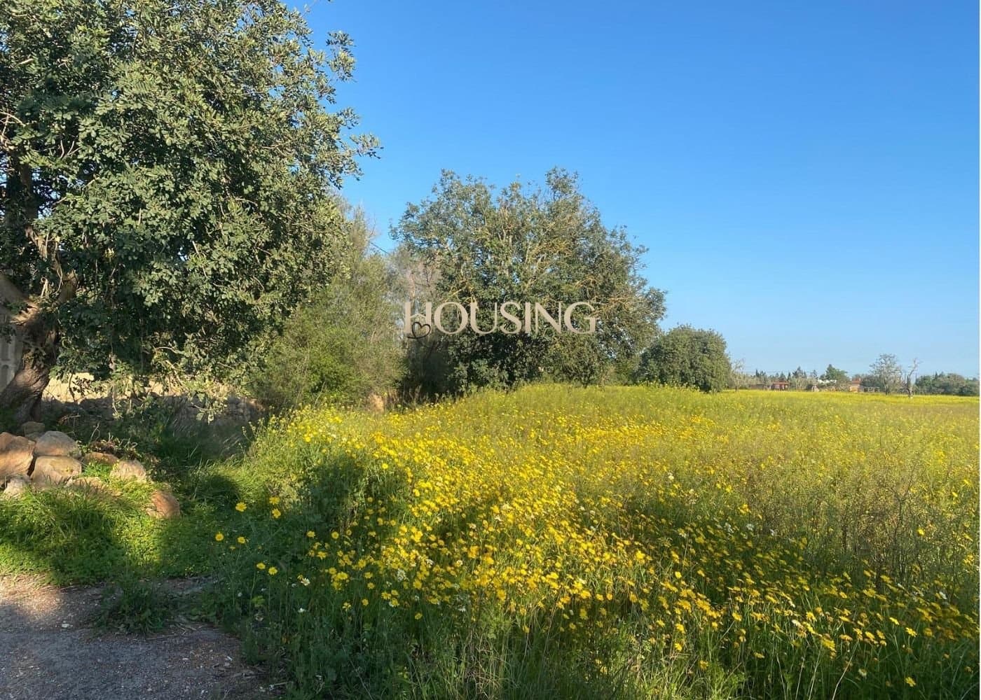 Bauplatz zu verkaufen in Llucmajor - 325.000 € (Ref: 9691474)