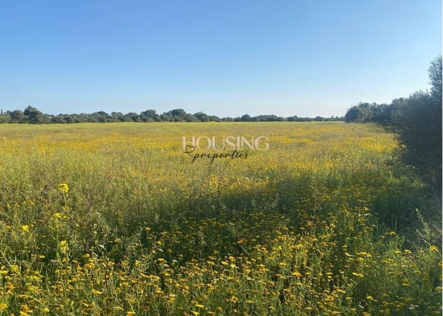 Terreno para Construção para venda em Llucmajor - 325 000 € (Ref: 9691474)