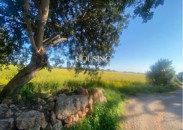 Terreno para Construção para venda em Llucmajor - 325 000 € (Ref: 9691474)