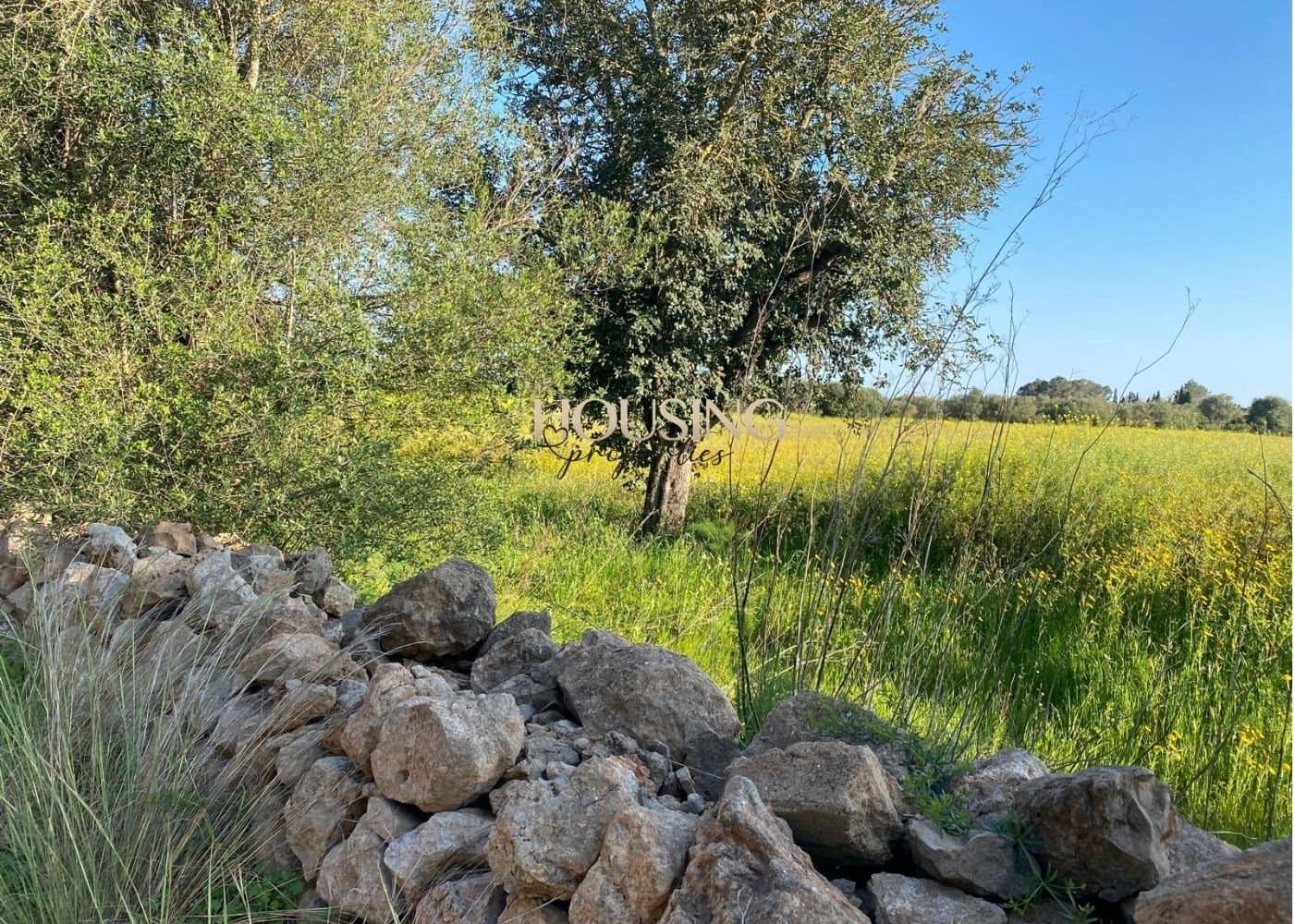 Bauplatz zu verkaufen in Llucmajor - 325.000 € (Ref: 9691474)