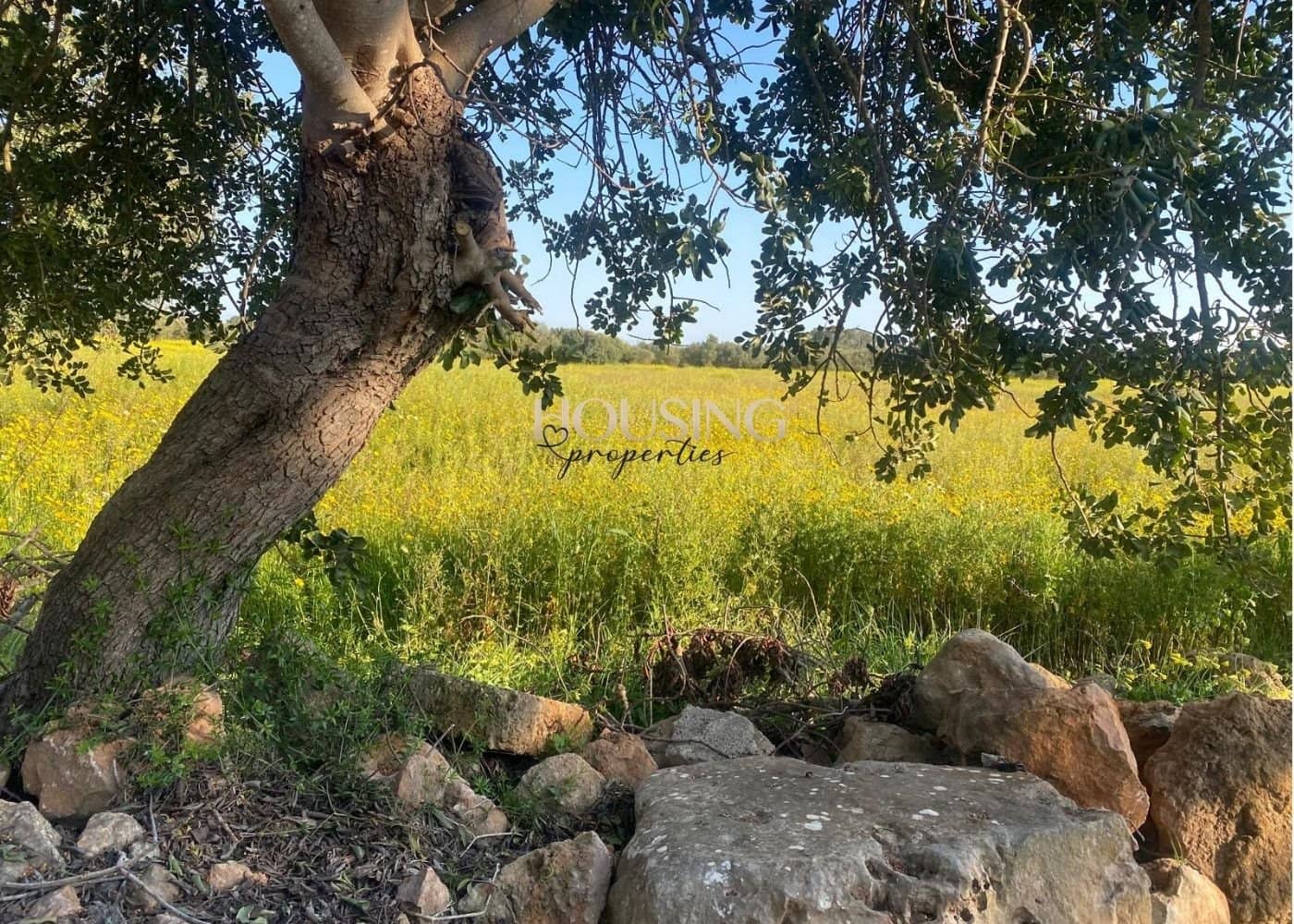 Bauplatz zu verkaufen in Llucmajor - 325.000 € (Ref: 9691474)