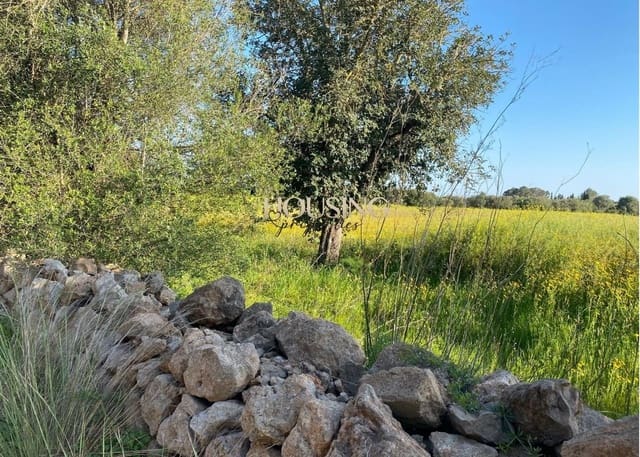 Terreno para Construção para venda em Llucmajor - 325 000 € (Ref: 9691474)