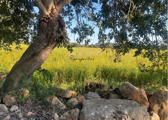 Terreno para Construção para venda em Llucmajor - 325 000 € (Ref: 9691474)