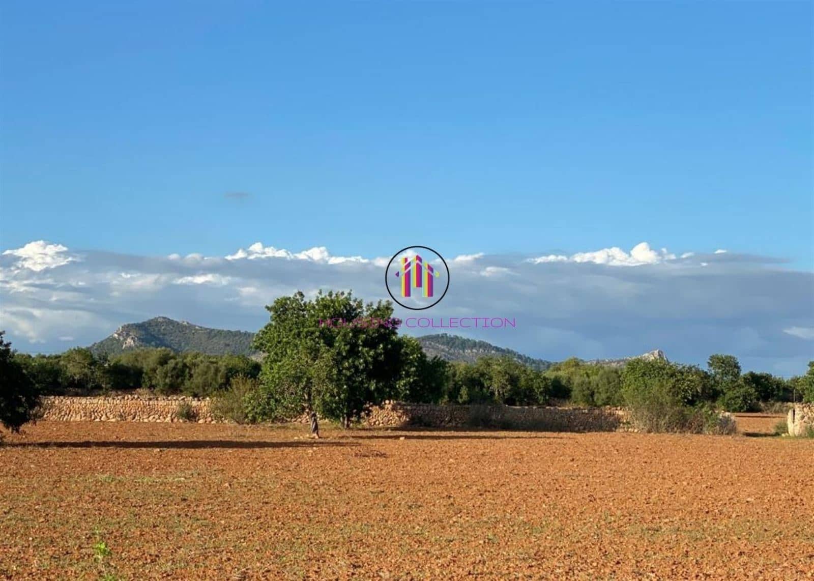 Finca/Country House for sale in Llucmajor - € 475,000 (Ref: 9832769)