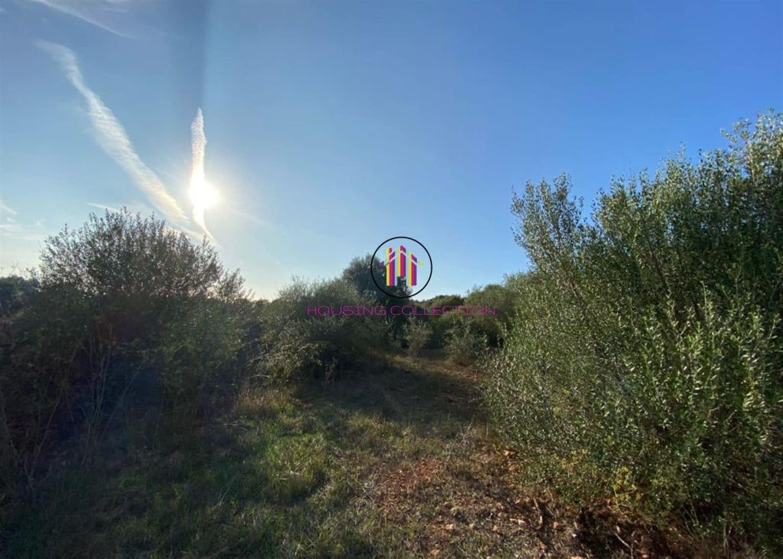Finca/Country House for sale in Llucmajor - € 475,000 (Ref: 9832769)